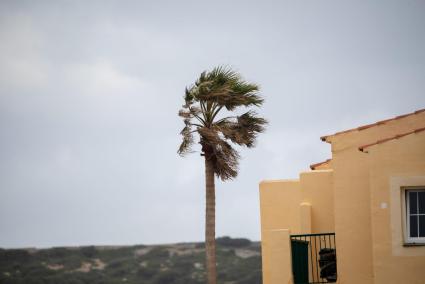 El viento volverá a soplar con fuerza a partir de este viernes por la noche