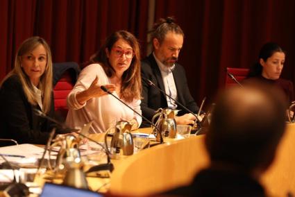 Susana Mora, la portavoz del PSOE, durante una de las intervenciones en el pleno de este lunes.