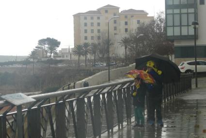 El mes de diciembre fue muy seco, con un promedio de lluvias en el conjunto de las islas de 8,1 litros por metro cuadrado.