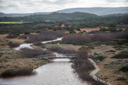 Se trata de una zona propensa a ser inundada en la desembocadura del torrente de la playa.