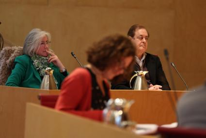 La consellera de Vox, Maite de Medrano, junto al conseller del PP, Juan Manuel Delgado, en un pleno de la institución.