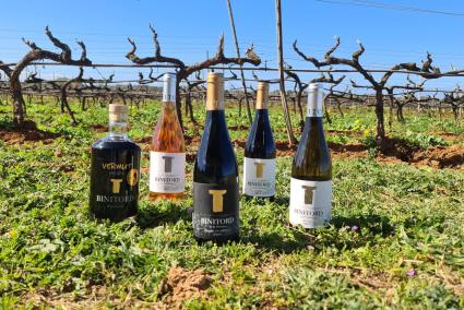 Els cinc vins que produeix Binitord, tots junts en les vinyes de la finca.