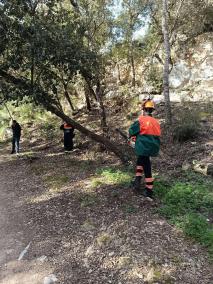 Los trabajos de los voluntarios consisten en retirar las ramas rotas o caídas de los árboles durante las tormentas invernales.