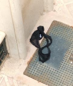 El tanga apareció el lunes en la calle Rosari, pero otros transeúntes aseguran haberlo visto en la calle de l’Àngel. Un tanga anda suelto.