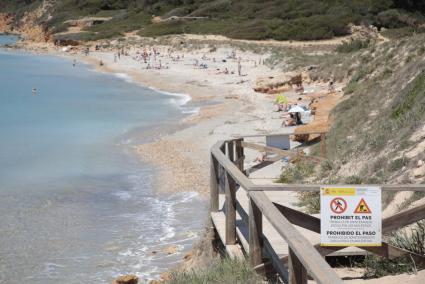 El PP de Es Migjorn propone instalar hamacas en la playa virgen de Binigaus. 