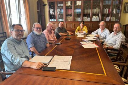 Dolores Antonio con profesionales de cuatro colegios.   