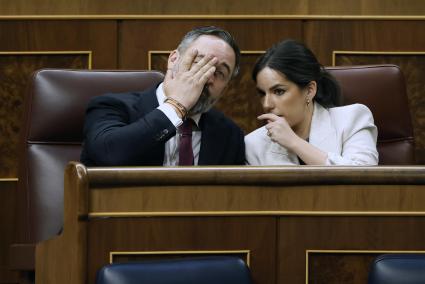 Abascal en el Congreso