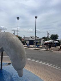 El punto de información turística de la urbanización de Cala en Blanes, ubicado en la plaza Espanya de Los Delfines.