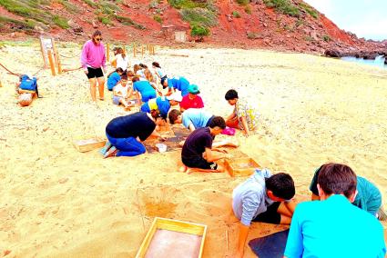 Las acciones de limpieza se desarrollaron en mayo con estudiantes de ESO del IES Maria Àngels Cardona. La presencia de microplásticos es un 36 por ciento superior en El Pilar que en Es Tancats.