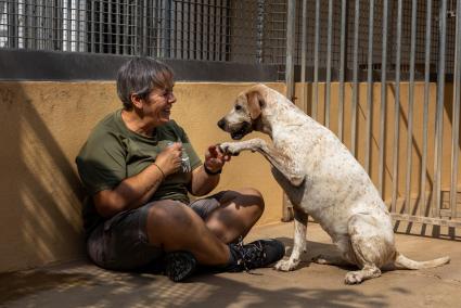 Las Protectoras se organizan para que los animales de los centros de acogida sean cuidados, atendidos y salgan a pasear. 