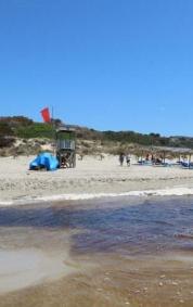 La playa de Son Bou en agosto