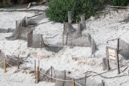 Así ha quedado la zona dunar tras ser utilizada durante toda la temporada por los bañistas, pese a que no está permitido.