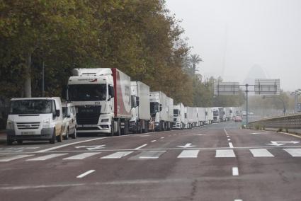 Varios camiones aguardan en la ronda Sur de Valencia al estar cortados los carriles de la V-30 más cercanos al nuevo cauce del Turia durante la mañana de este miércoles.