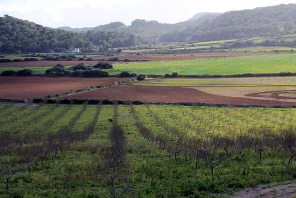 Imagen de archivo de la finca de Algaiarens.