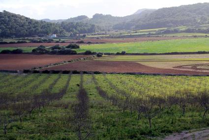 Imagen de archivo de la finca de Algaiarens, que se enfrenta a una multa de 3,5 millones