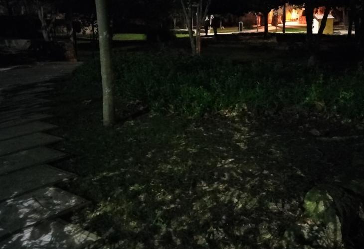 Falta de iluminación en el parque de Es Freginal y en la Sínia des Cuc