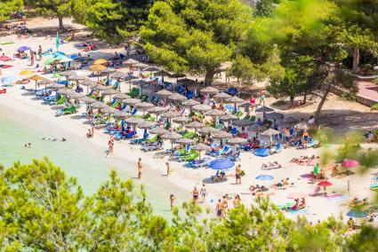 Los ingresos por las concesiones de Cala Galdana aumentan en un 54 por ciento.