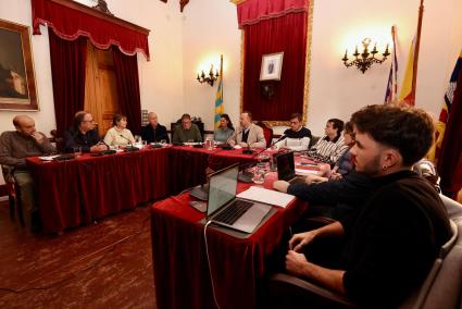 No hubo tensión en el pleno extraordinario para aprobar los presupuestos de 2025.