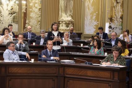 Diputados en el Parlament balear