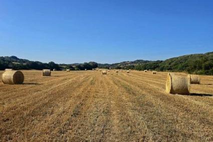 Imagen de la finca en la que el pasado fin de semana sustrajeron unas 60 balas de paja.