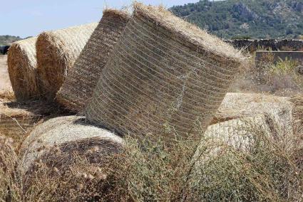 Imagen de archivo de balas de paja en el campo.