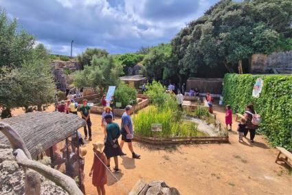 Visita guiada en el Centro de Recuperación de Fauna Silvestre en Ciutadella