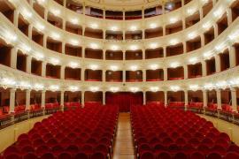 GRAN GALA SINE DOLORE · foto 3