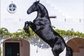 'Menorca Horse Week' en Es Mercadal