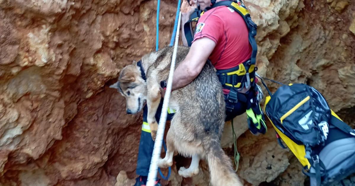 Rescate en el acantilado de Binigaus: los bomberos salvan a un perro atrapado