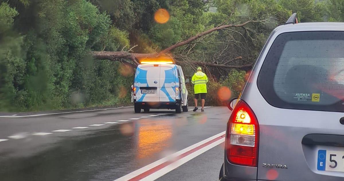 La tormenta provoca la caída de un árbol en la carretera general, inunda garajes y cancela autobuses