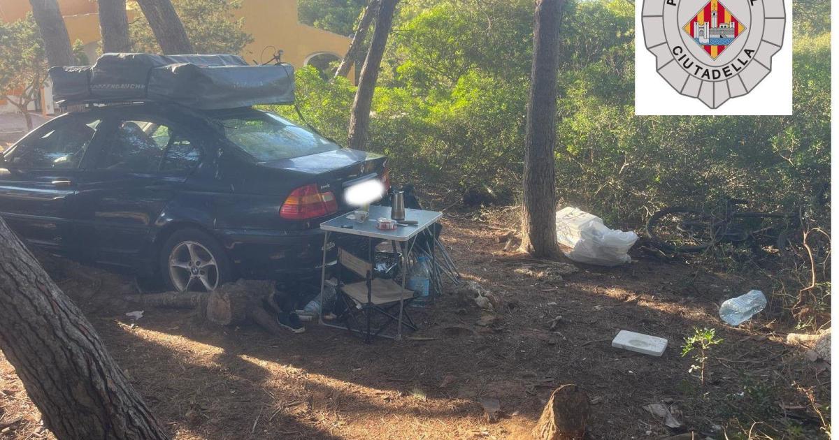 Acampada en precario o vivienda forzosa en un pinar de Cala en Bosc