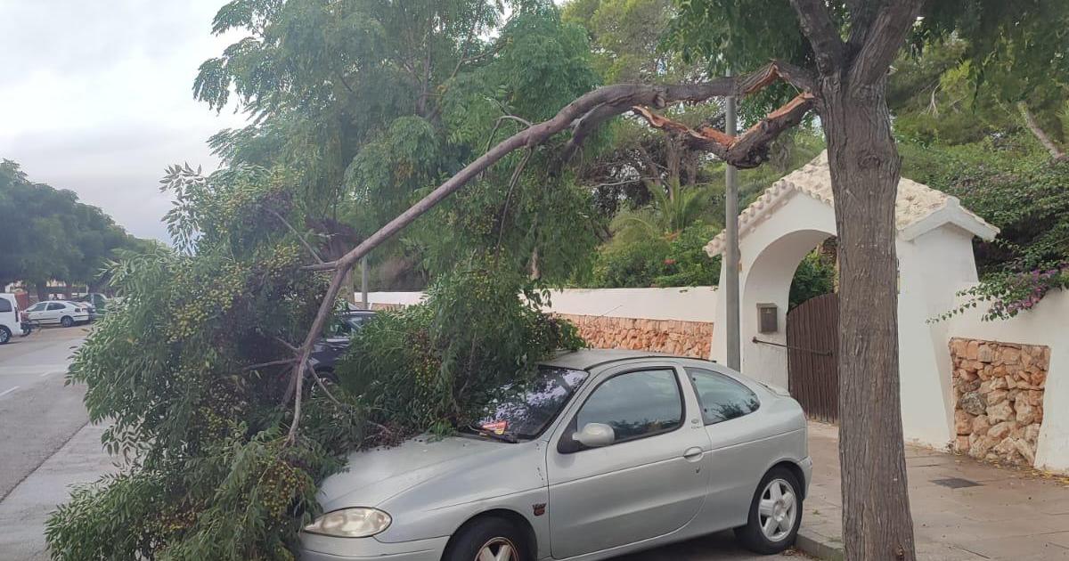 Daños en un vehículo aparcado en Ciutadella por culpa del viento