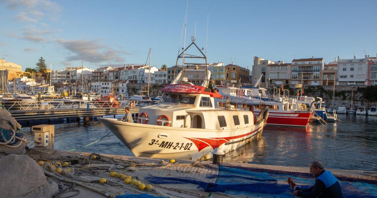 Europa estrecha el cerco a las 'barques del bou' de Menorca: así quedan las nuevas restricciones