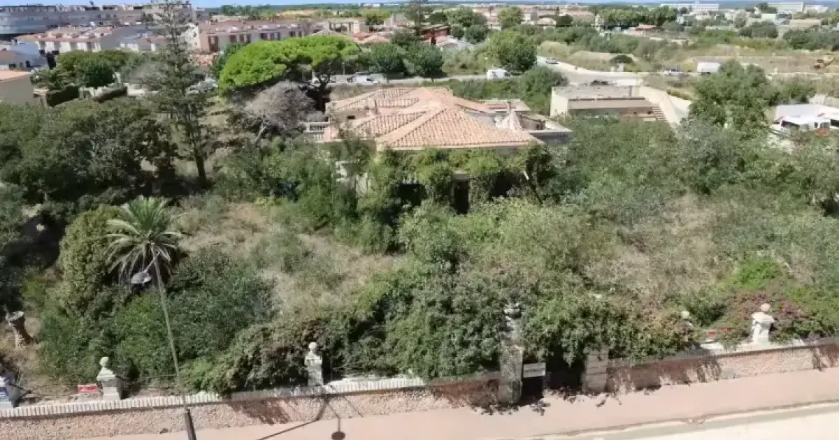 Habitatge col·laboratiu
